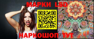 прущие крисы Моздок