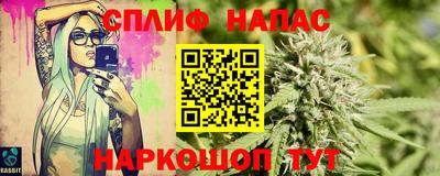 прущие крисы Моздок