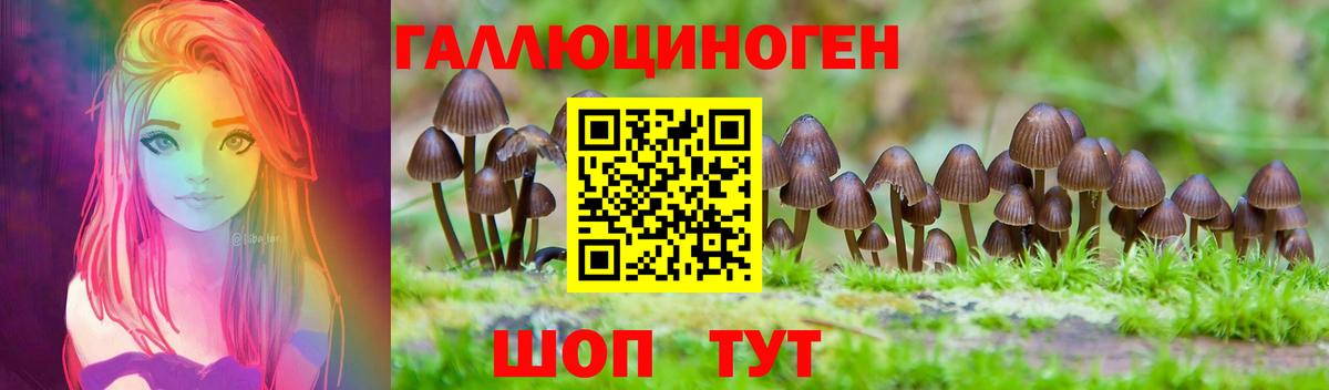 Галлюциногенные грибы прущие грибы Углич